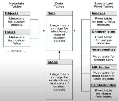 Salesforce Schema